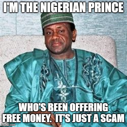 I'm the nigerian prince who's been offering free money.  it's just a scam | image tagged in nigerian prince | made w/ Imgflip meme maker