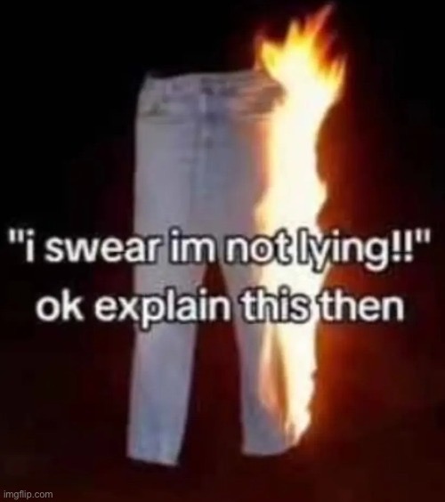 image tagged in memes | made w/ Imgflip meme maker