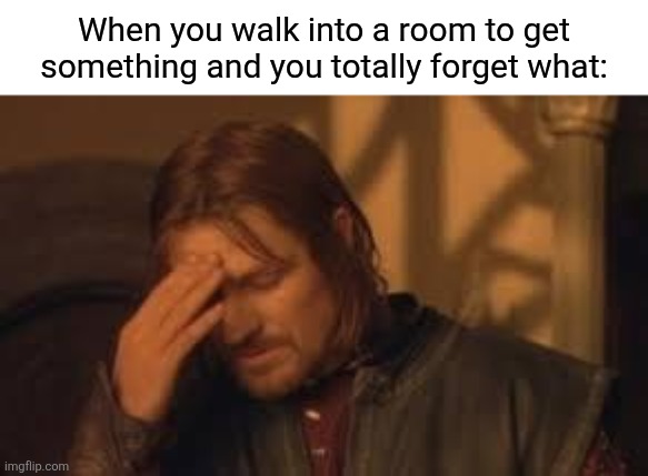 when will Rithika understand. sigh. | When you walk into a room to get something and you totally forget what: | image tagged in lord of the rings | made w/ Imgflip meme maker