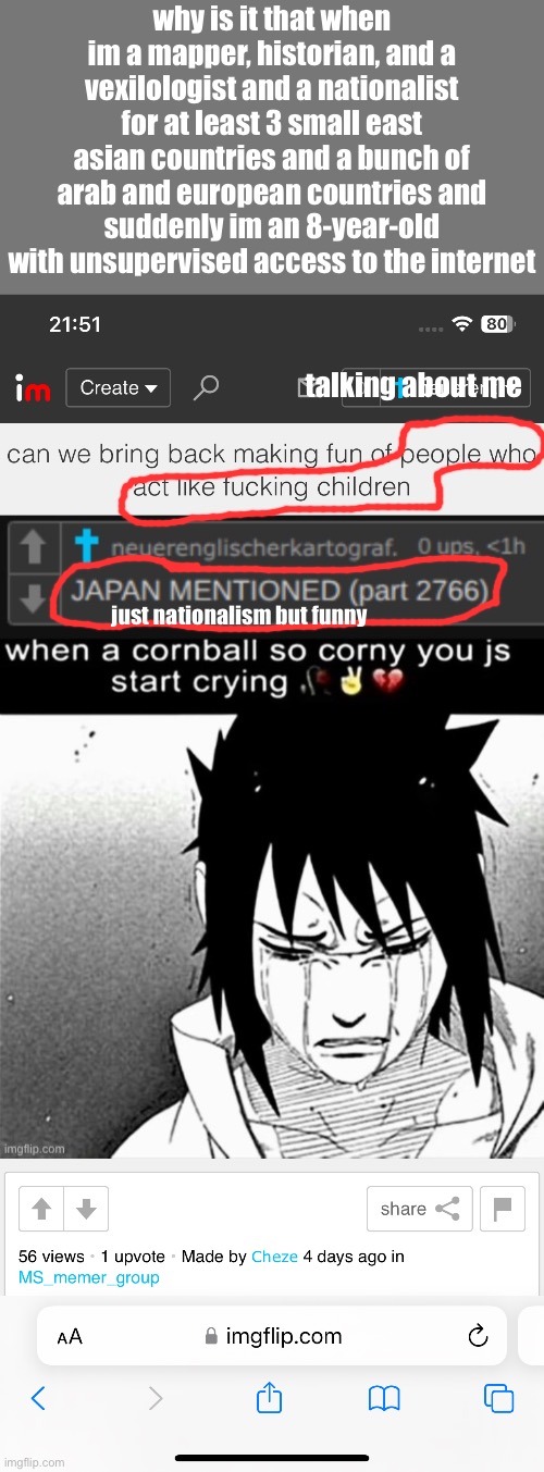 why is it that when im a mapper, historian, and a vexilologist and a nationalist for at least 3 small east asian countries and a bunch of arab and european countries and suddenly im an 8-year-old with unsupervised access to the internet; talking about me; just nationalism but funny | made w/ Imgflip meme maker
