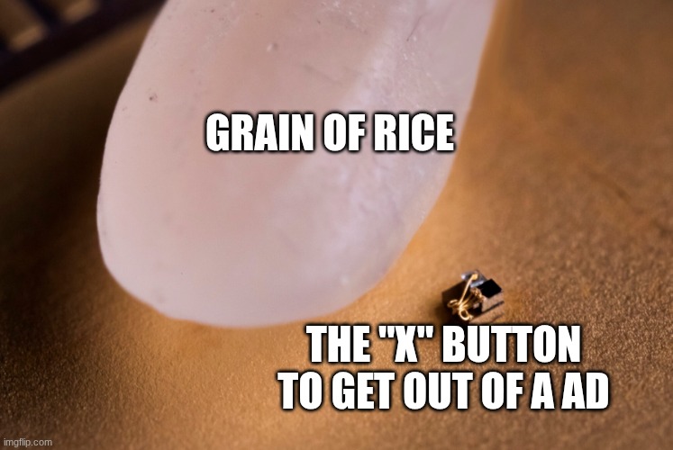 true | Grain of rice; The "x" button to get out of a ad | image tagged in grain of rice,true | made w/ Imgflip meme maker