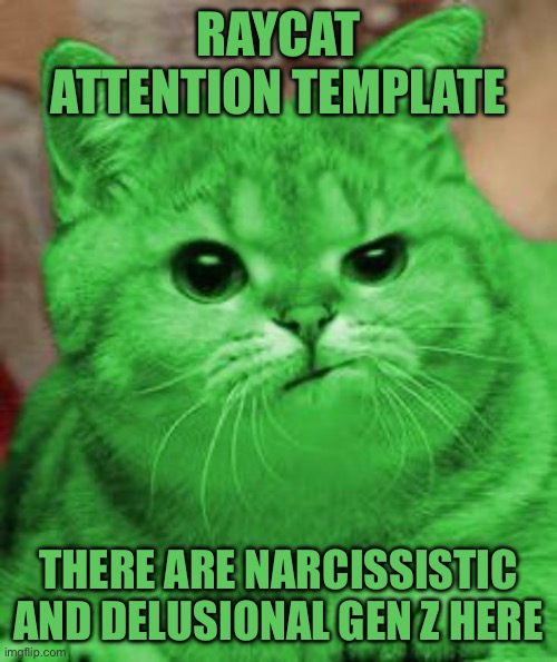 RayCat Annoyed | Raycat Attention template; There are Narcissistic and delusional Gen Z here | image tagged in raycat annoyed | made w/ Imgflip meme maker