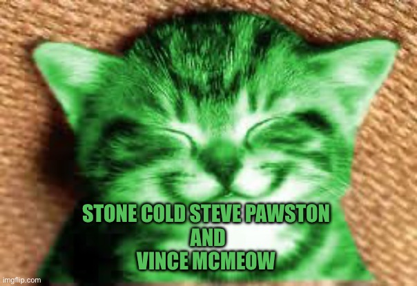 happy RayCat | Stone cold Steve pawston 
And
Vince mcmeow | image tagged in happy raycat | made w/ Imgflip meme maker