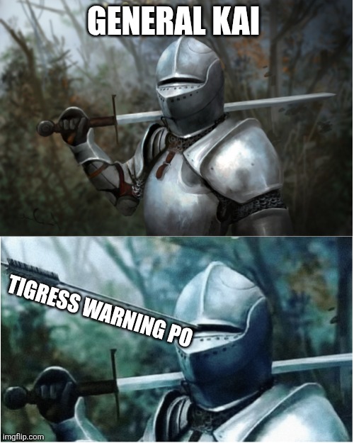 I'm not hating on Kai | General Kai; Tigress warning Po | image tagged in knight with arrow in helmet | made w/ Imgflip meme maker