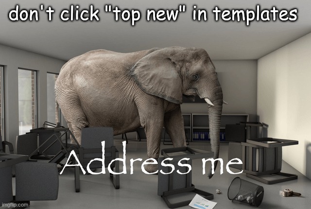Address Me Elephant HD | don't click "top new" in templates | image tagged in address me elephant hd | made w/ Imgflip meme maker