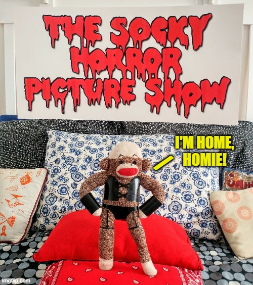 When Sock Puppets go to the Dark Side | I'm home,
homie! / | image tagged in vince vance,rocky horror picture show,movie memes,sock puppet,monkey puppet,tim curry | made w/ Imgflip meme maker