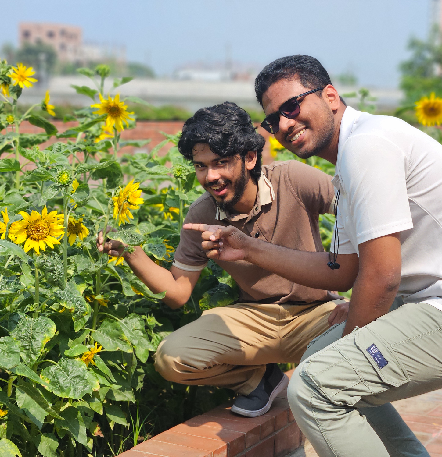 Sunflower point Blank Meme Template