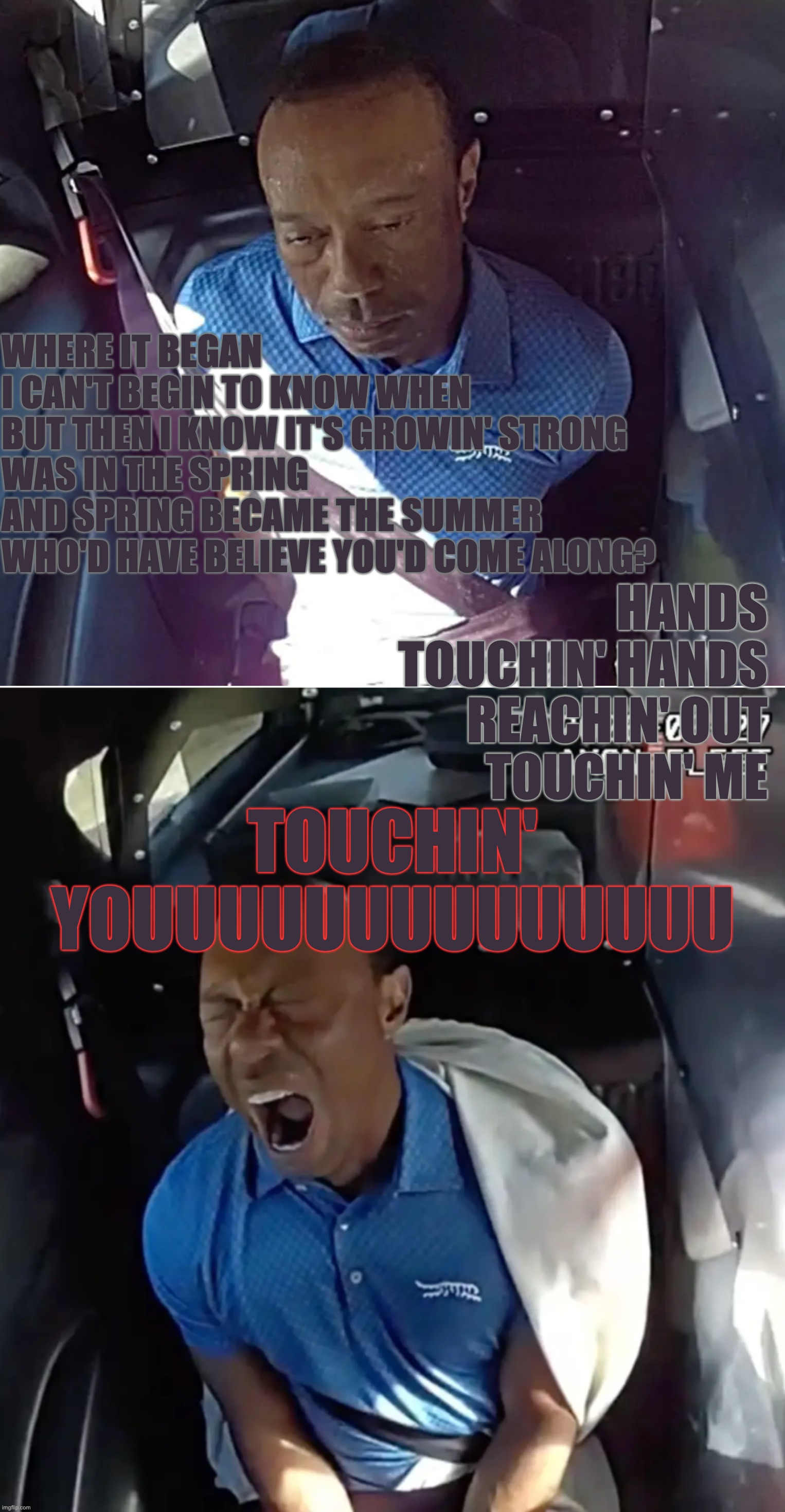 Tiger's Favorite Song | Where it began
I can't begin to know when
But then I know it's growin' strong
Was in the spring
And spring became the summer
Who'd have believe you'd come along? Hands
Touchin' hands
Reachin' out
Touchin' me; TOUCHIN' YOUUUUUUUUUUUUUU | image tagged in tiger woods,scream,music,funny | made w/ Imgflip meme maker