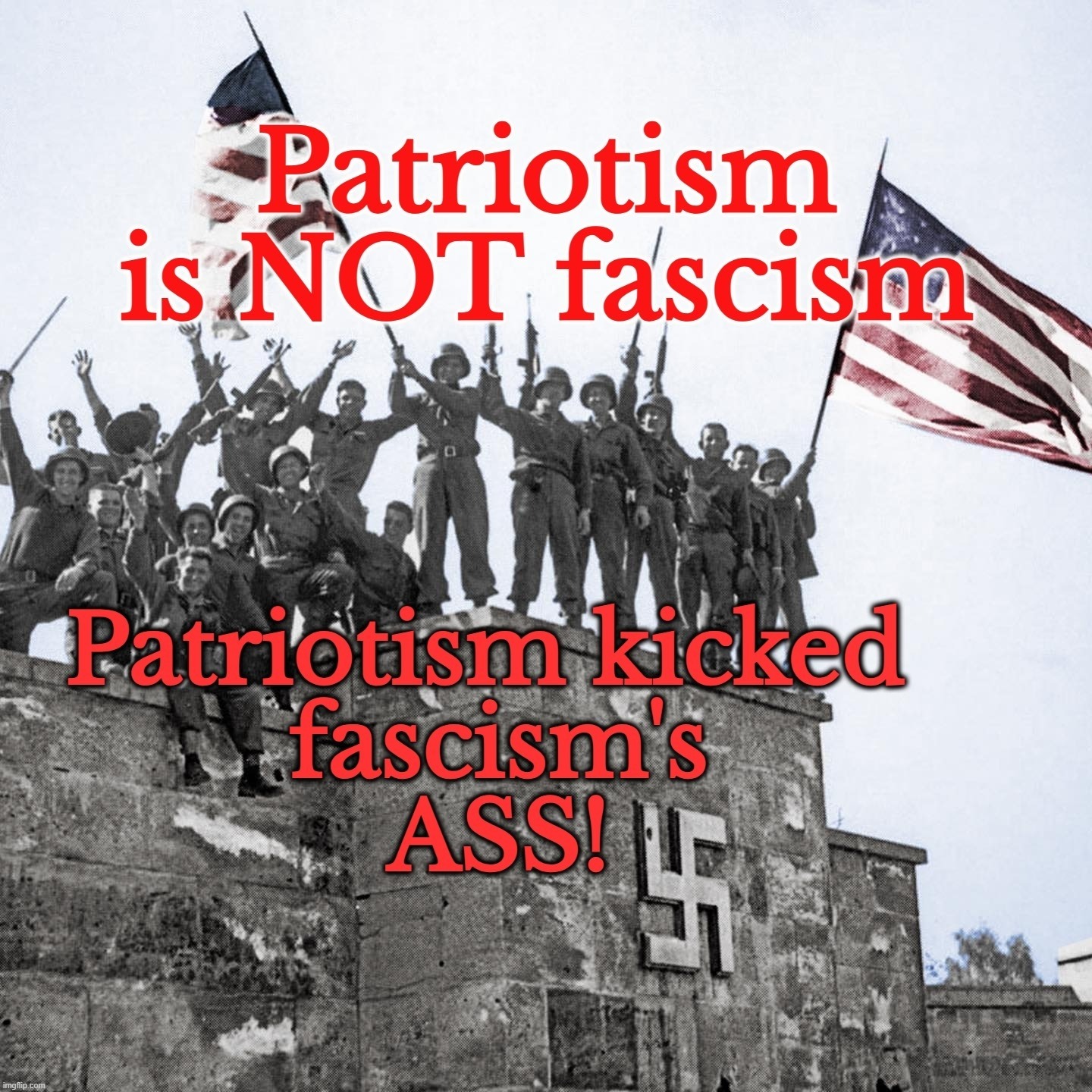 Patriotism is NOT fascism! Nazis SUCK! | image tagged in patriotism,fascism,patriots,nazis,wookie riding a squirrel killing nazis your argument is invalid,stupid liberals | made w/ Imgflip meme maker
