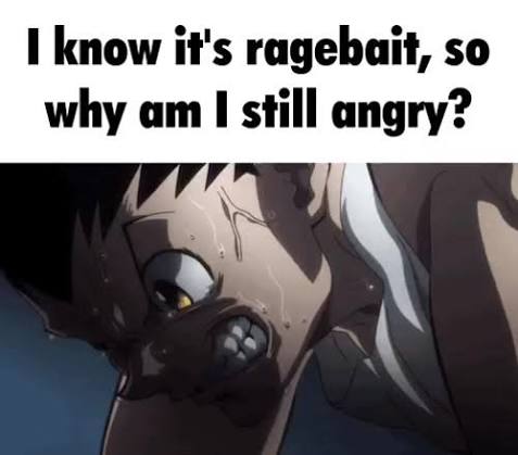 I know it’s ragebait, so why am I still angry? Blank Meme Template