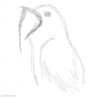 White bellbird | image tagged in drawing | made w/ Imgflip meme maker