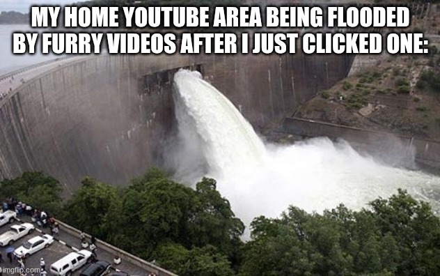 My Home Youtube Area Being Flooded By Furry Videos After I Just Clicked One: | image tagged in floodgate | made w/ Imgflip meme maker