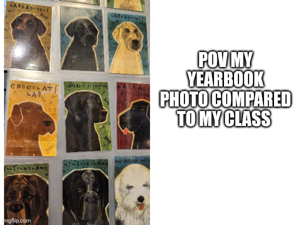 School picture | POV my yearbook photo compared to my class | image tagged in relatable,school,dog | made w/ Imgflip meme maker