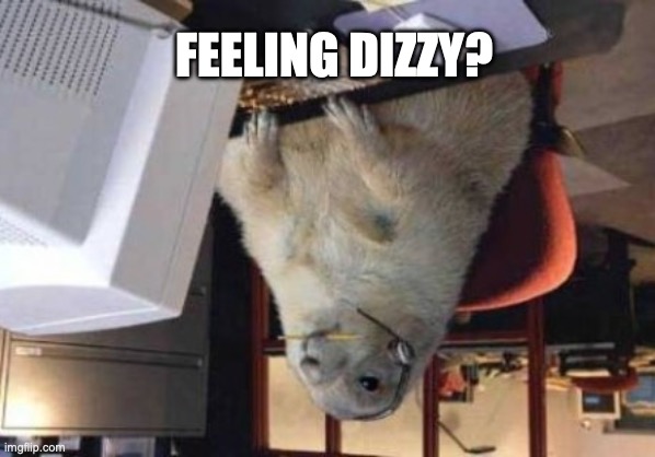 Call Center Animal | feeling dizzy? | image tagged in call center animal,fun,funny memes,bad luck brian | made w/ Imgflip meme maker