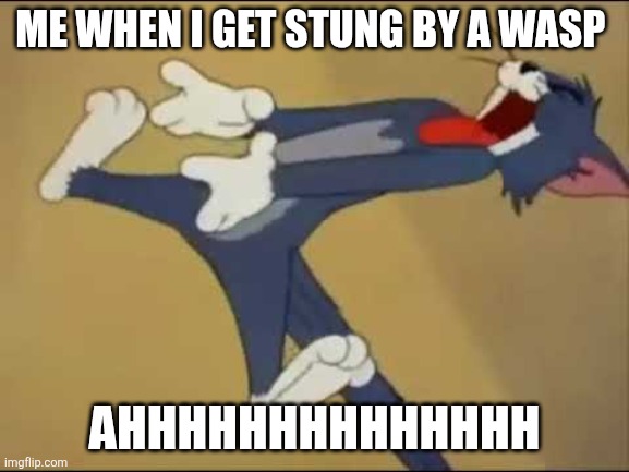 It's painful | Me when I get stung by a wasp; AHHHHHHHHHHHHHH | image tagged in tom screaming,relatable,painful,wasp,imgflip | made w/ Imgflip meme maker
