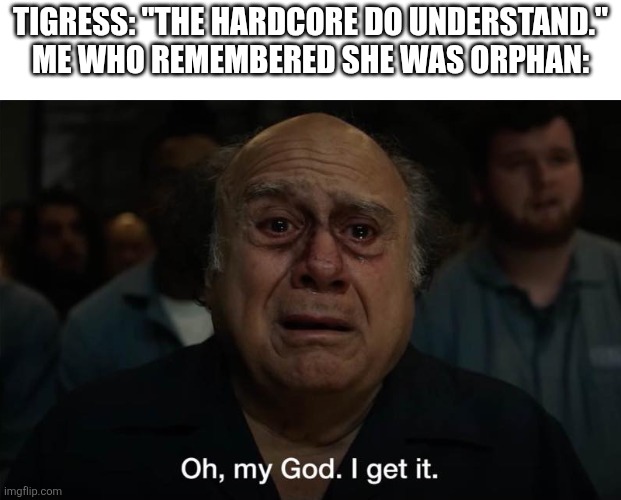 When you know about Tigress' tragic backstory | Tigress: "The hardcore do understand."
Me who remembered she was orphan: | image tagged in on my god i get it | made w/ Imgflip meme maker