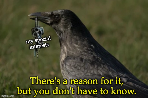 It's not always worth it to explain things to NT types | my special
interests; There's a reason for it, but you don't have to know. | image tagged in crow with keys,autism,special interests,rational | made w/ Imgflip meme maker