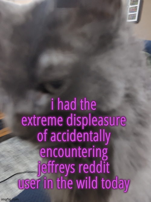 32's Cat | i had the extreme displeasure of accidentally encountering jeffreys reddit user in the wild today | made w/ Imgflip meme maker