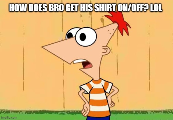 Upvotes PLEASE (Not forcing) | How does bro get his shirt on/off? lol | image tagged in oigan y perry,phineas,phineas and ferb,lol,funny,meme | made w/ Imgflip meme maker
