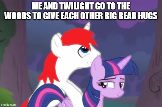 Me and Twilight | Me and Twilight go to the woods to give each other big bear hugs | image tagged in twilight sparkle,l money,my little pony,mlp fim,princelittlemoney,mlp meme | made w/ Imgflip meme maker