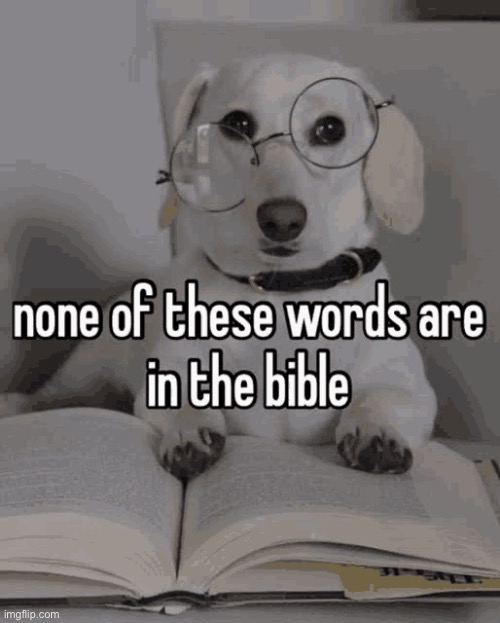 image tagged in none of these words are in the bible | made w/ Imgflip meme maker