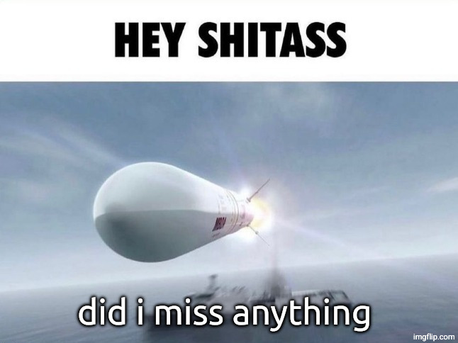 HEY SHITASS | did i miss anything | image tagged in hey shitass | made w/ Imgflip meme maker