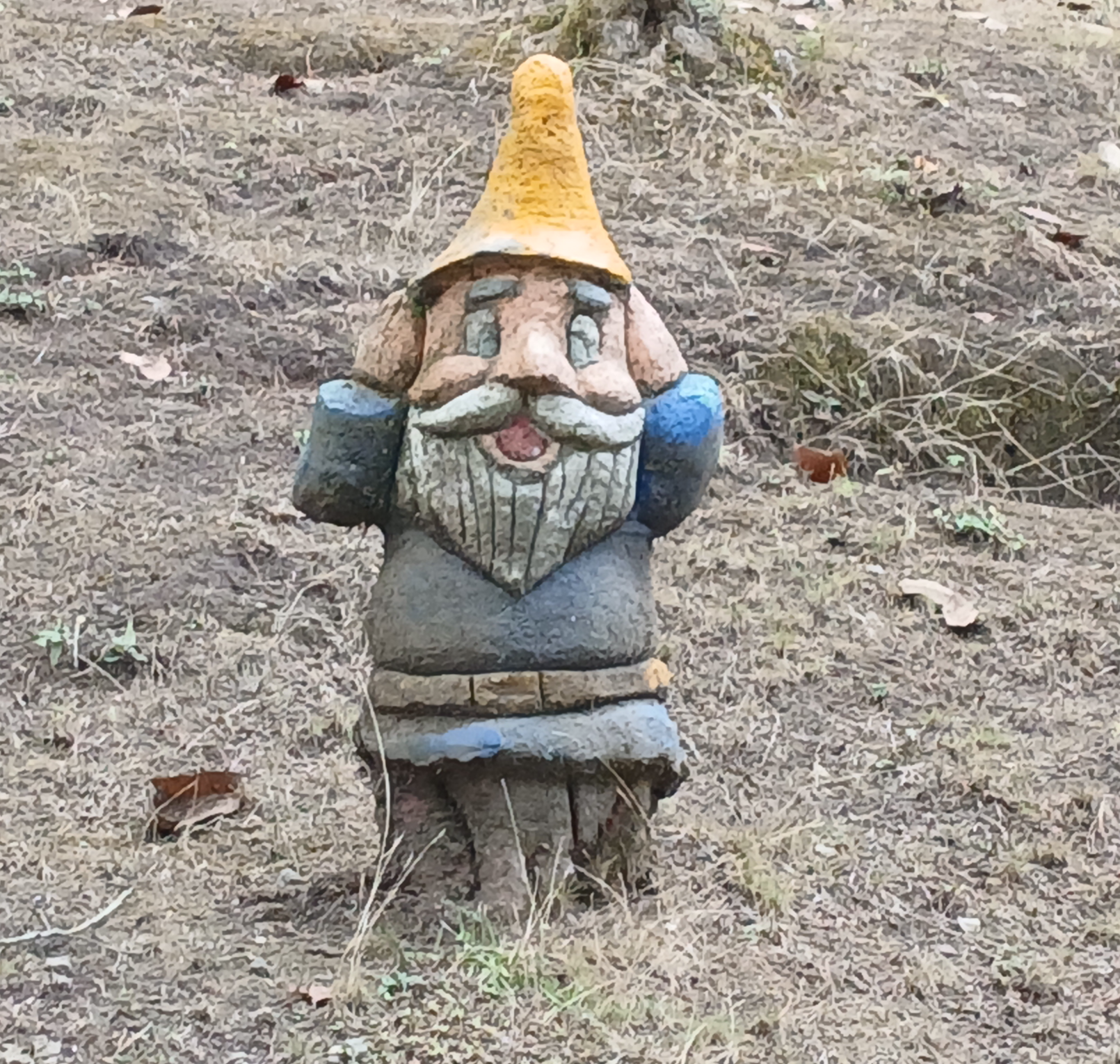 Shockes Gnome Blank Meme Template