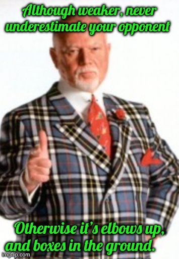 Although weaker, never underestimate your opponent; Otherwise it’s elbows up, and boxes in the ground. | image tagged in one does not simply | made w/ Imgflip meme maker