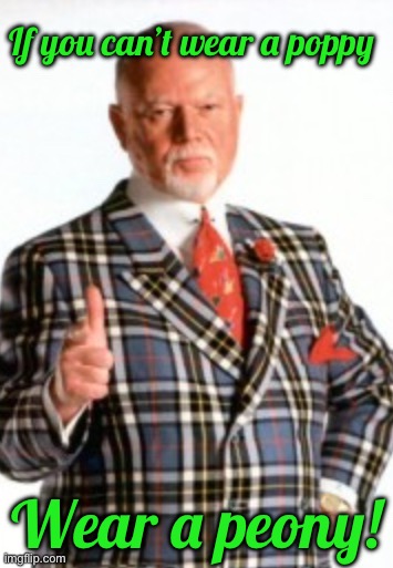 If you can’t wear a poppy; Wear a peony! | image tagged in you don't say | made w/ Imgflip meme maker