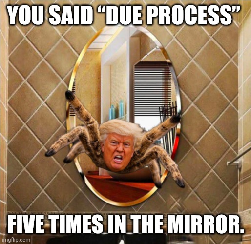 A long came a spider | You said “due process”; five times in the mirror. | image tagged in trump,due process,ice,felon,fascist | made w/ Imgflip meme maker
