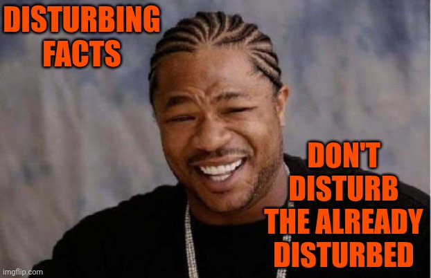 Someone Experiencing Emotional Distress, Mental Illness Or Agitation.  Something That Has Been Altered, Disrupted Or Ruined | Disturbing facts; don't disturb the already disturbed | image tagged in memes,yo dawg heard you,mental illness,impeach trump,lock him up,release the epstein files | made w/ Imgflip meme maker