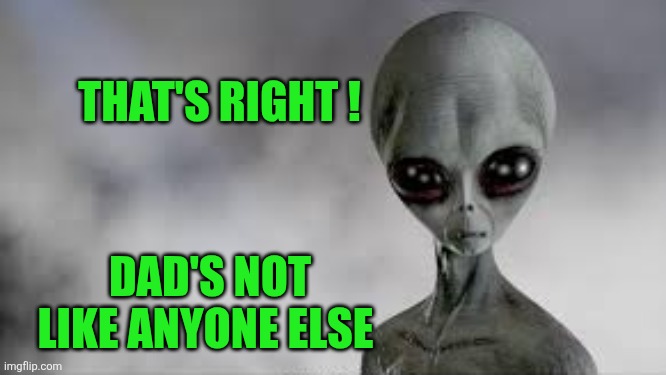 Indomitable human spirit alien | That's right ! Dad's not like anyone else | image tagged in indomitable human spirit alien | made w/ Imgflip meme maker