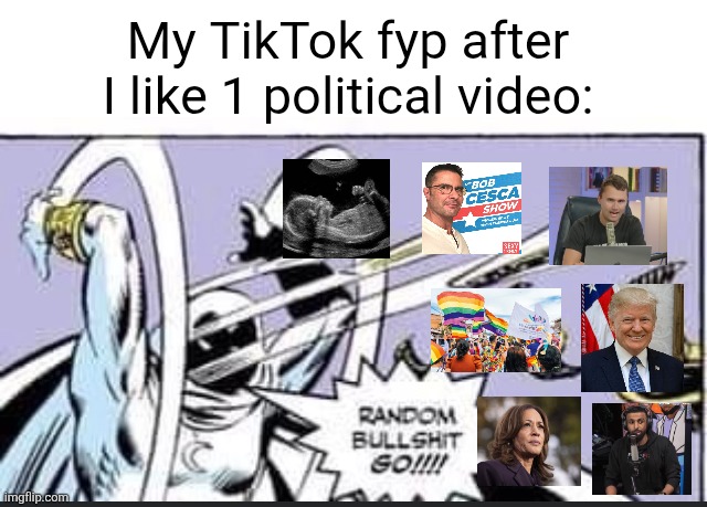 NOOOO MY FYP IS RUINED | My TikTok fyp after I like 1 political video: | image tagged in random bullshit go,politics,tiktok,fyp,videos,relatable | made w/ Imgflip meme maker