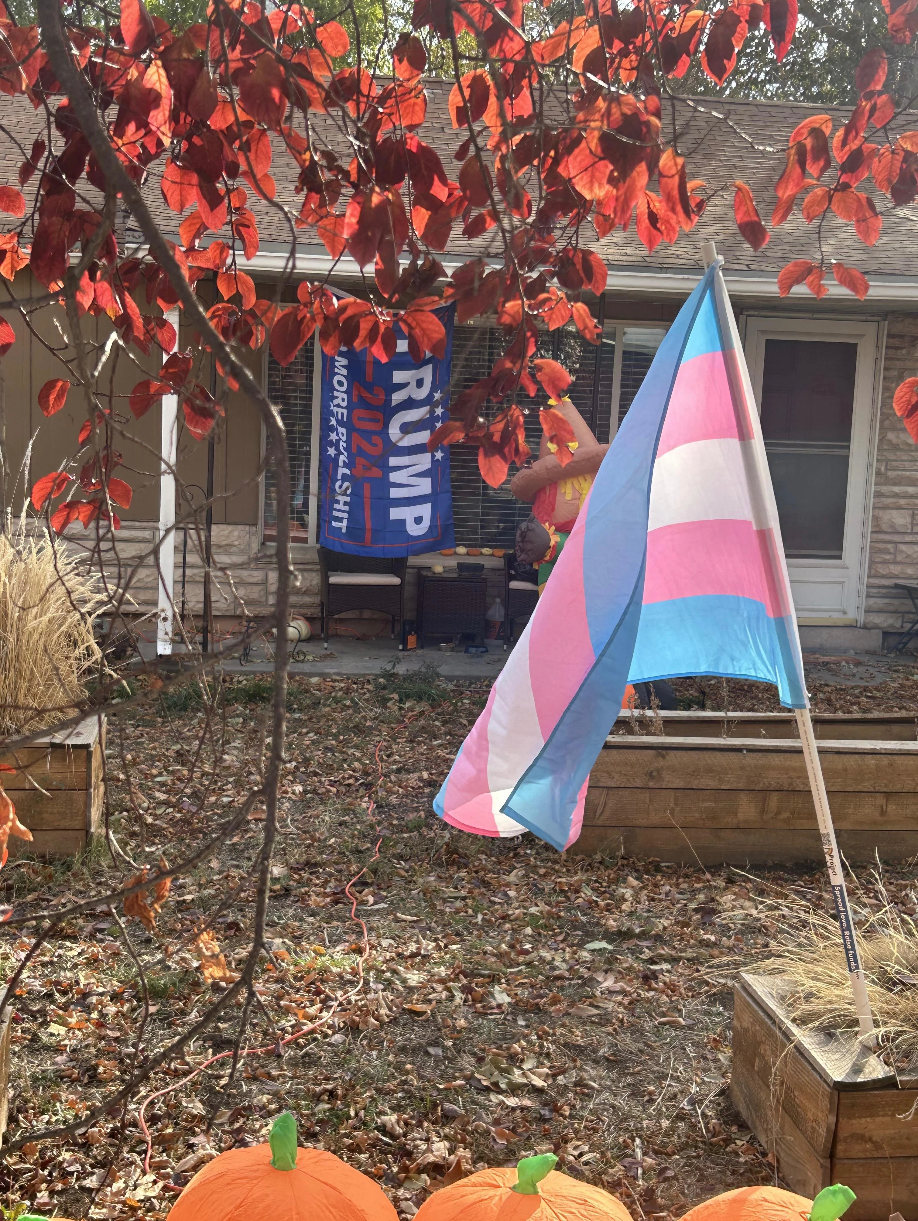 Love when it’s autumn and all the trees are pretty ❤️ | made w/ Imgflip meme maker