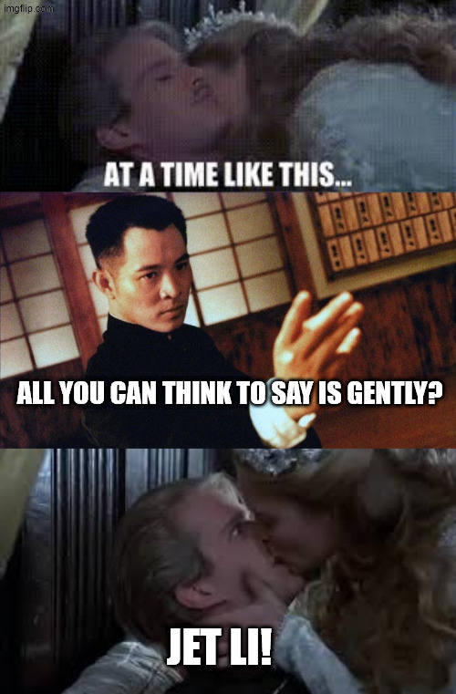 princess bride alternate ending | all you can think to say is gently? JET LI! | image tagged in princess bride,kiss,kung fu | made w/ Imgflip meme maker