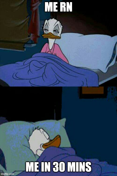 sleepy donald duck in bed | Me rn; Me in 30 mins | image tagged in sleepy donald duck in bed | made w/ Imgflip meme maker