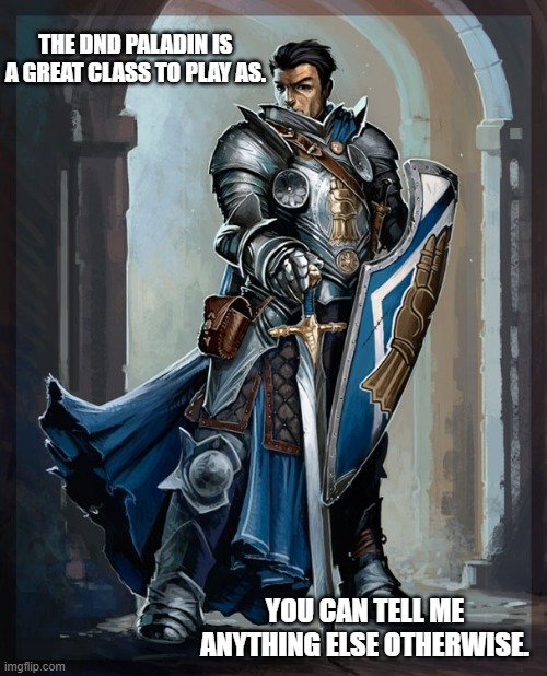 The Paladin is the best DND class | The DND Paladin is a great class to play as. You can tell me anything else otherwise. | image tagged in paladin | made w/ Imgflip meme maker