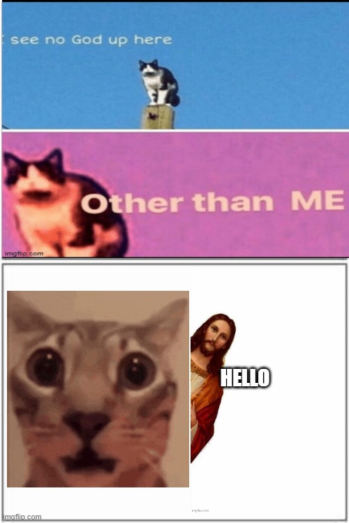 Hello | made w/ Imgflip meme maker