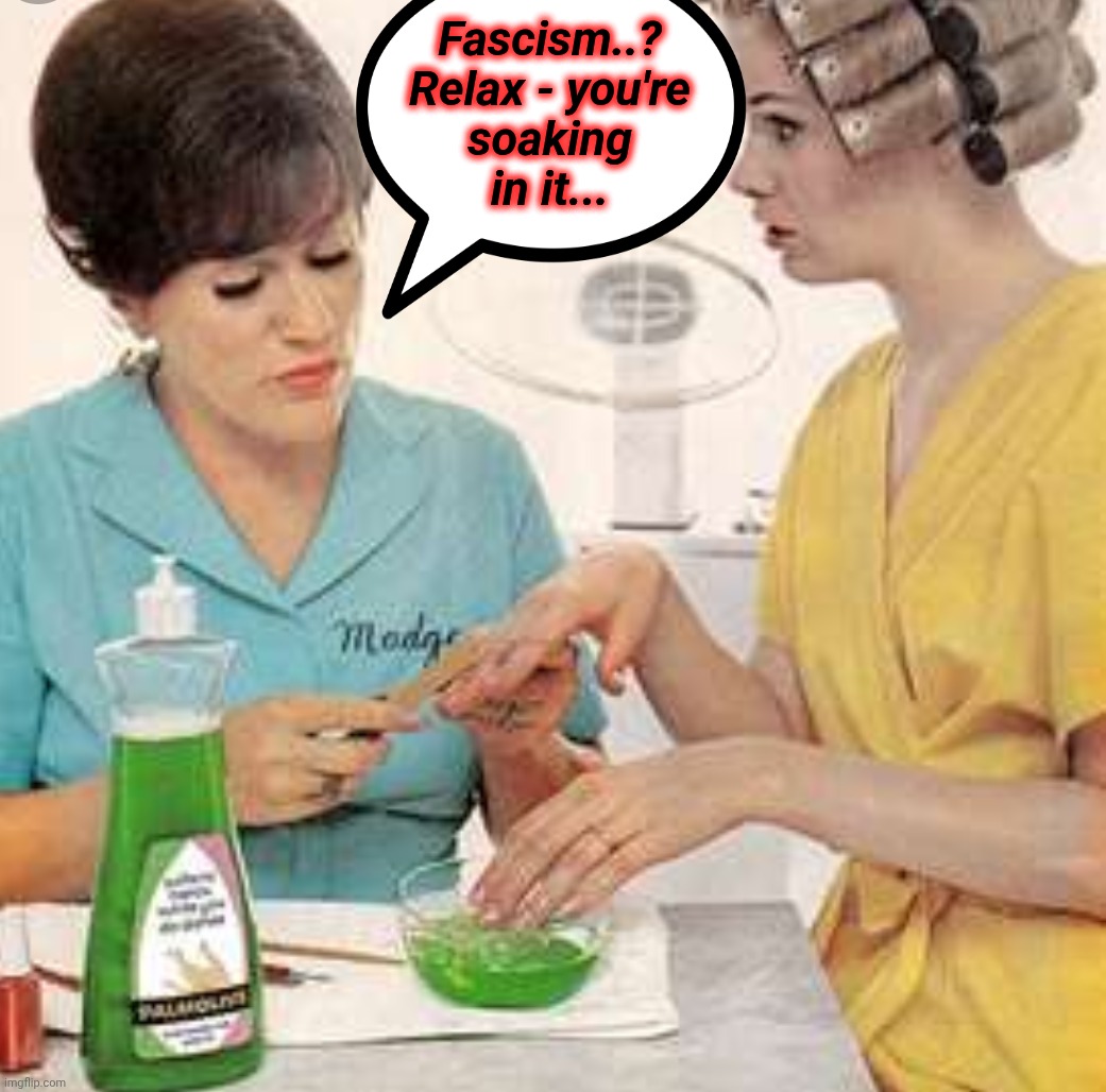 Fascism..? Relax - you're soaking in it... | image tagged in madge | made w/ Imgflip meme maker