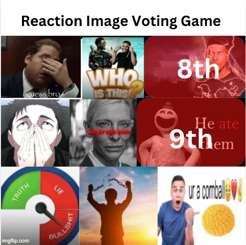 Reaction Image Voting Game 3: Vote one to eliminate. 8th Lightning Man took his own advice | made w/ Imgflip meme maker
