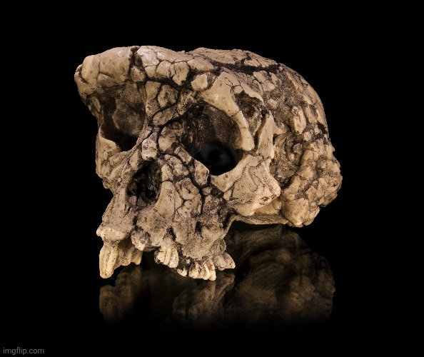 Toumaïìîị | image tagged in e | made w/ Imgflip meme maker