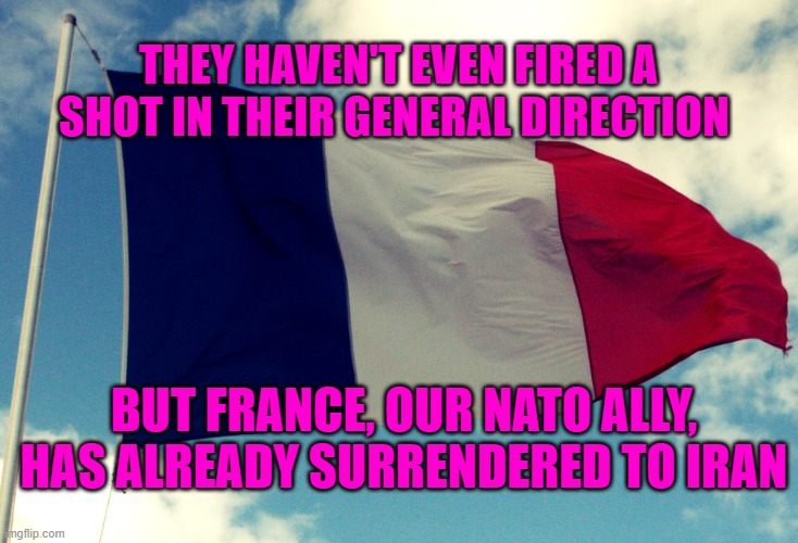 French ways | They haven't even fired a shot in their general direction; but france, our nato ally, has already surrendered to Iran | image tagged in french flag | made w/ Imgflip meme maker