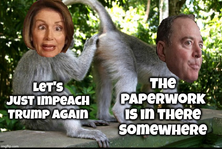 Somebody brought it up | The paperwork is in there somewhere; Let's just impeach Trump again | image tagged in nancy pelosi and adam schiff,democrats democratting,incompetent,do it again,nothing new | made w/ Imgflip meme maker
