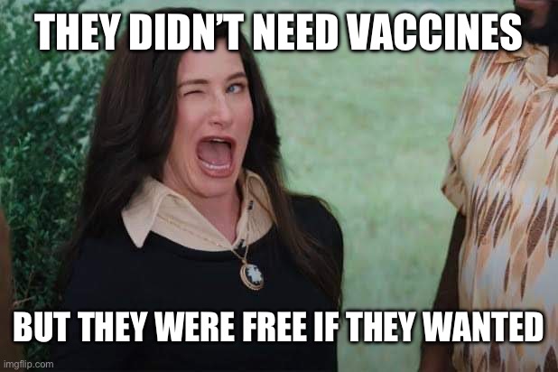 They didn’t need vaccines But they were free if they wanted | image tagged in wandavision agnes wink | made w/ Imgflip meme maker