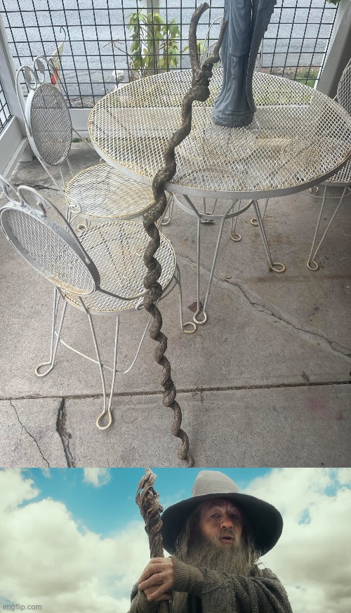 Gandalf sees it | image tagged in all of them at once i suppose,gandalf,stick | made w/ Imgflip meme maker