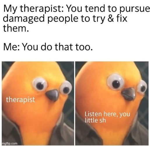 Therapy | image tagged in therapist,therapy,thats a lot of damage | made w/ Imgflip meme maker