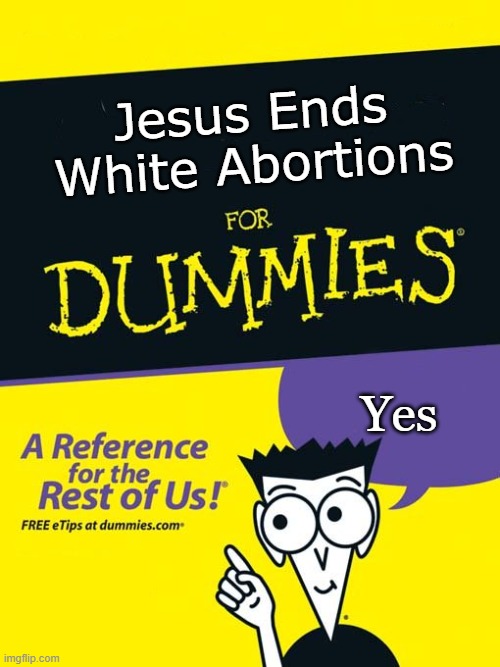 For dummies book | Jesus Ends White Abortions; Yes | image tagged in for dummies book,jesus ends white abortions | made w/ Imgflip meme maker