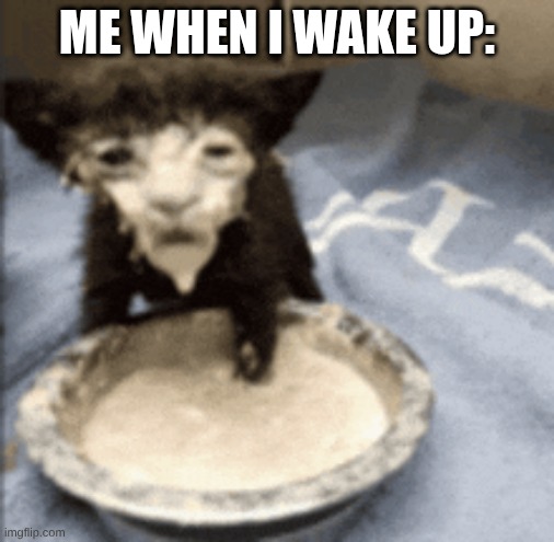 Cat in Milk Meme | Me When I wake up: | image tagged in cat in milk meme | made w/ Imgflip meme maker
