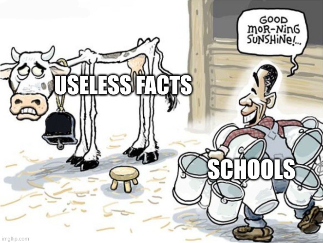 milking the cow | Useless Facts; Schools | image tagged in milking the cow,remix | made w/ Imgflip meme maker