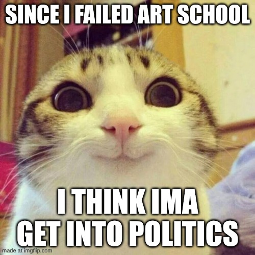 why not | since i failed art school; i think ima get into politics | image tagged in memes,smiling cat | made w/ Imgflip meme maker